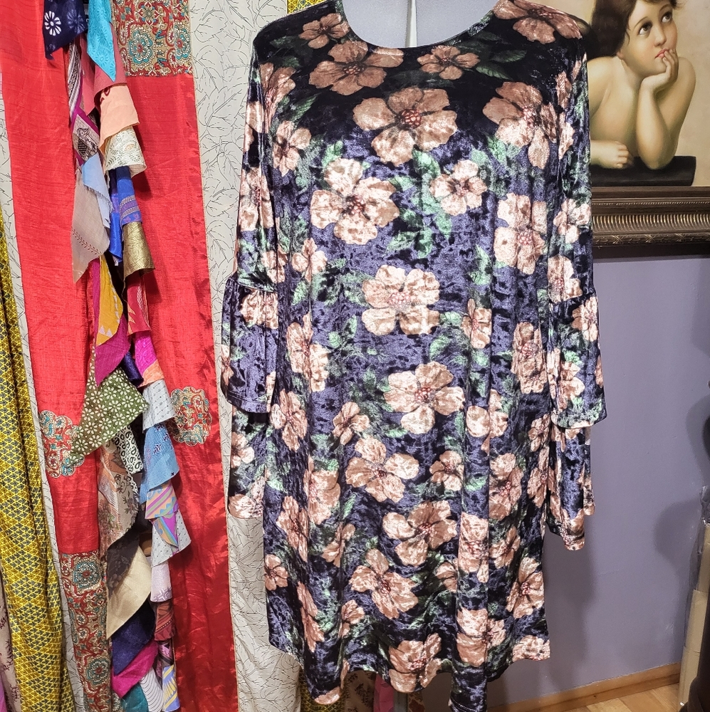 Loveriche velvet dress, size 2x.